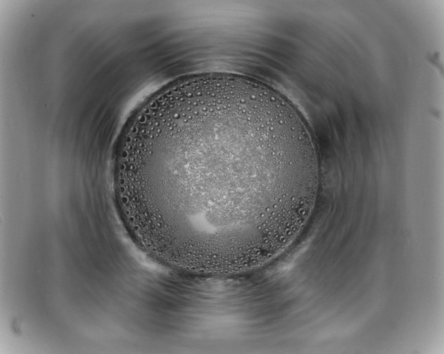 X0000099300987200805021227