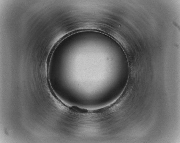 X0000099300988200805021227