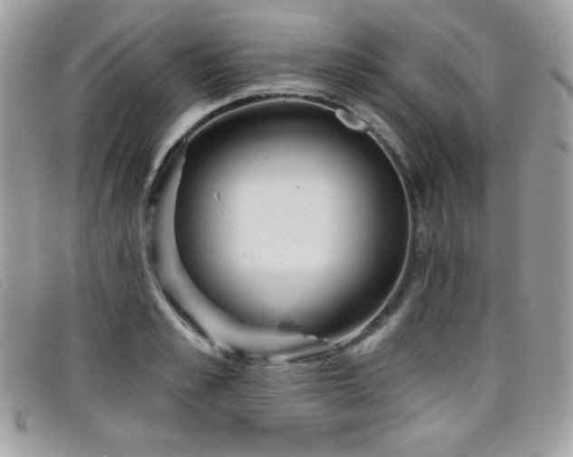 X0000099300989200805021227