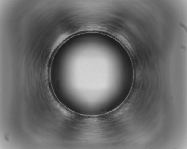 X0000099300990200805021227