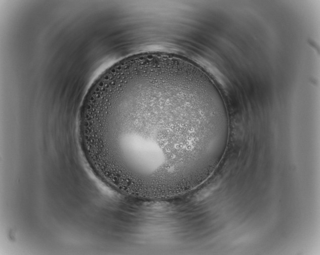 X0000099300991200805021227