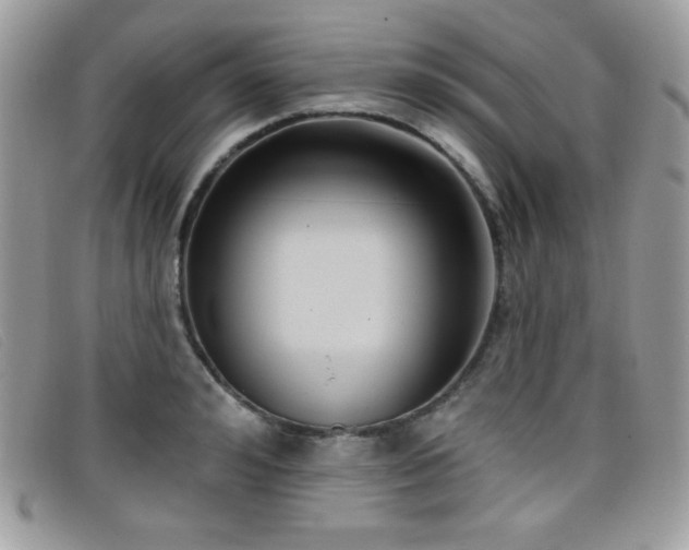 X0000099300992200805021227