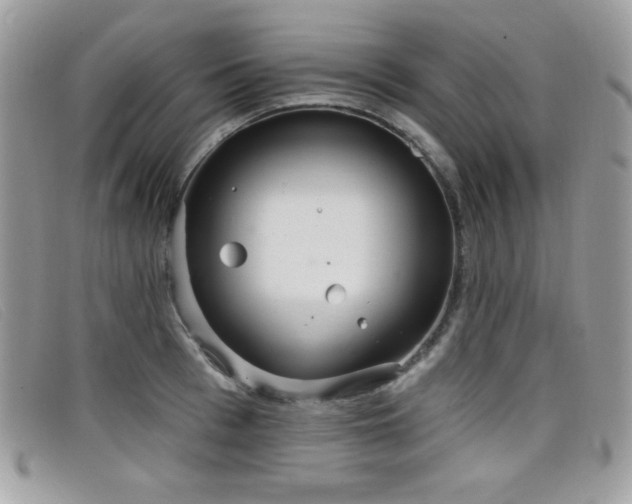 X0000099300993200805021227