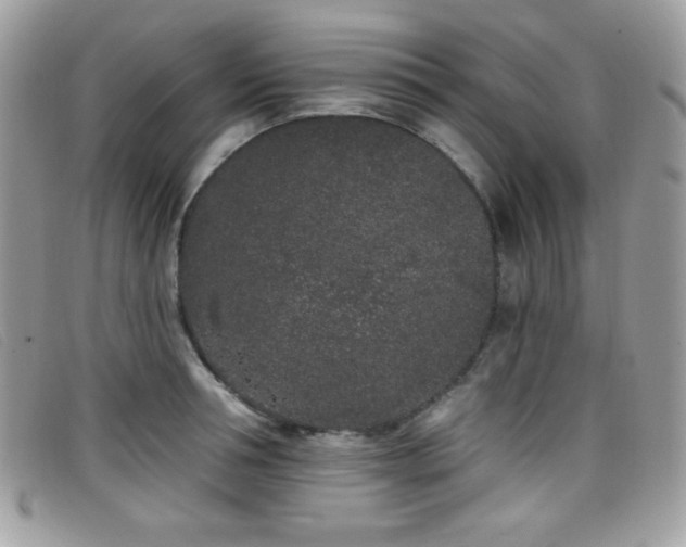 X0000099300994200805021227