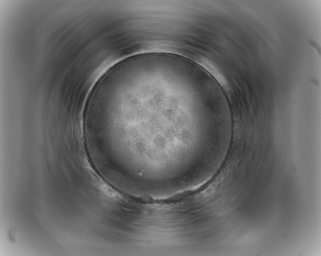 X0000099300996200805021227