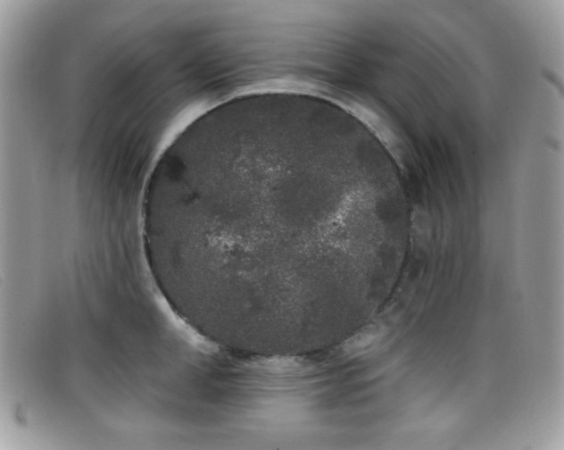 X0000099300998200805021227