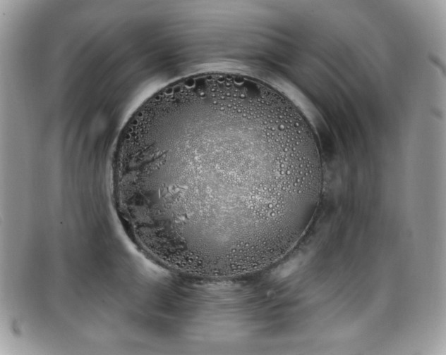 X0000099300999200805021227