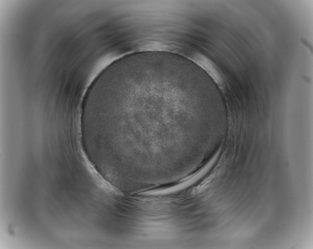 X0000099301000200805021227