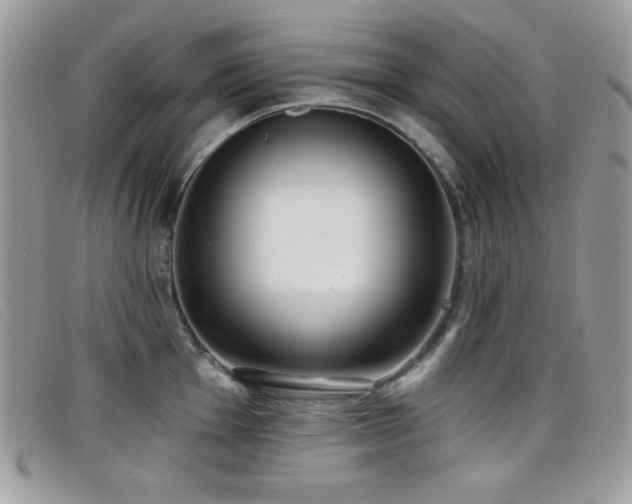 X0000099301001200805021227