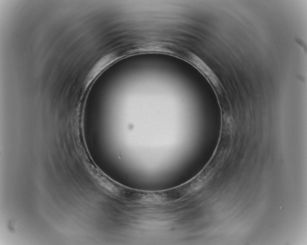 X0000099301002200805021227