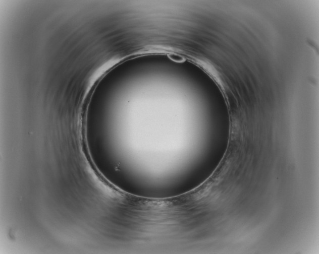 X0000099301003200805021227