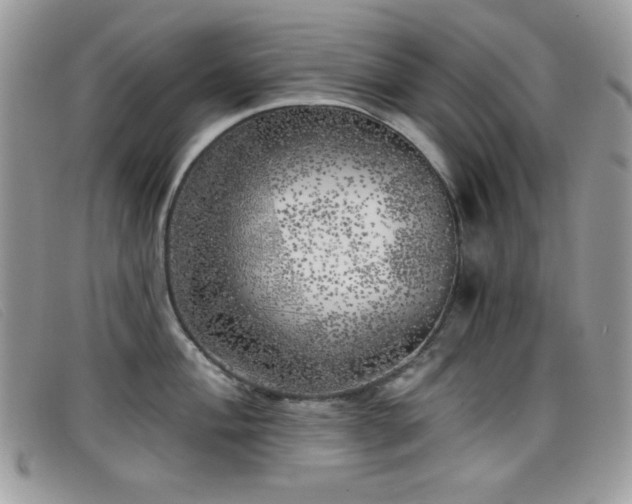 X0000099301004200805021227