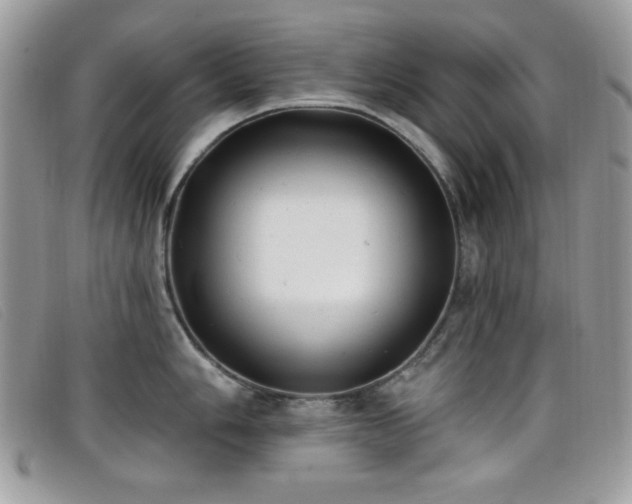 X0000099301006200805021227