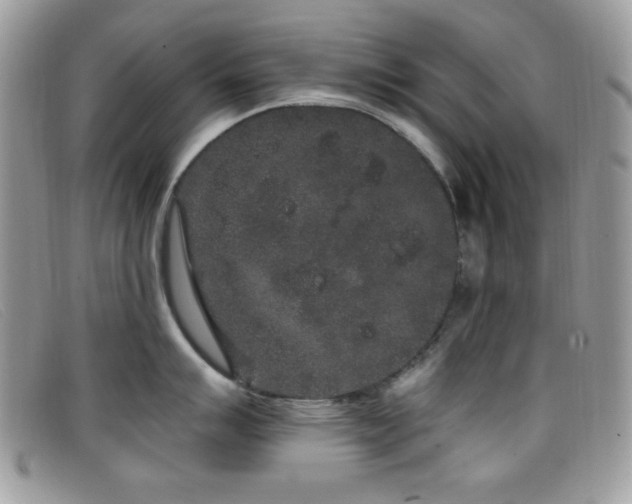 X0000099301007200805021227