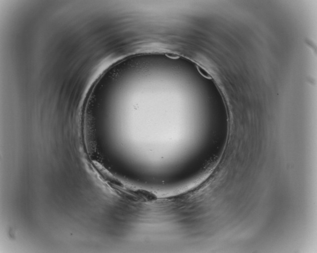 X0000099301008200805021227