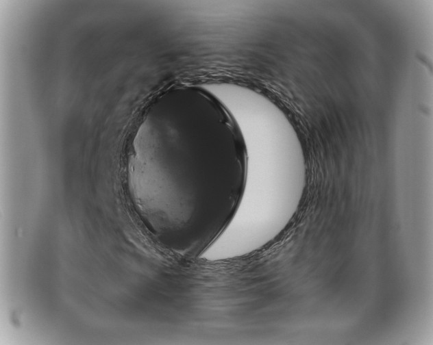 X0000099301009200805021226