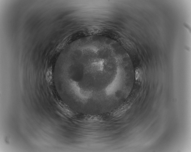 X0000099301011200805021226