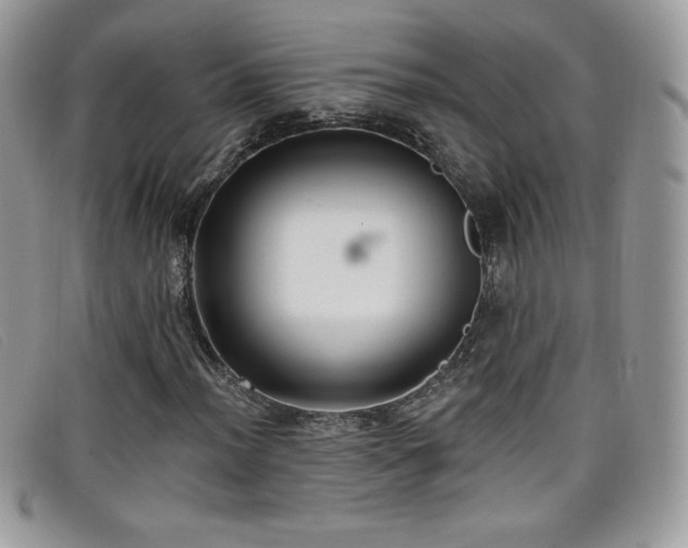 X0000099301012200805021226