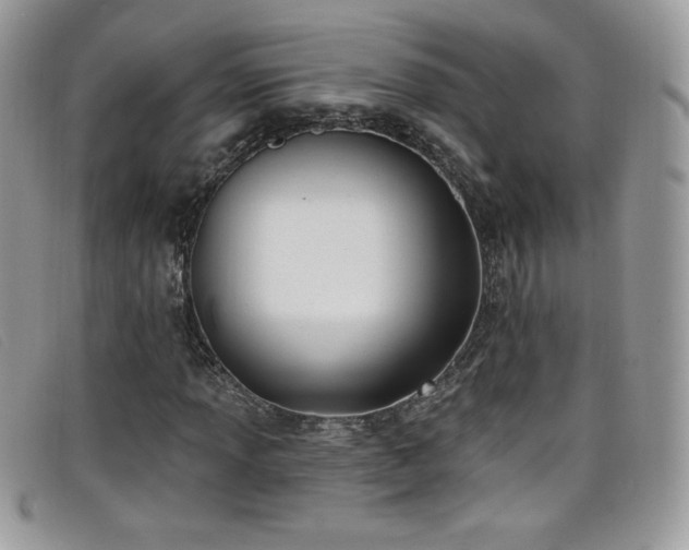 X0000099301013200805021226