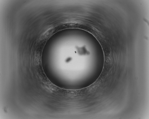 X0000099301014200805021226