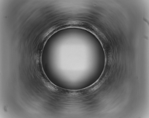 X0000099301017200805021226