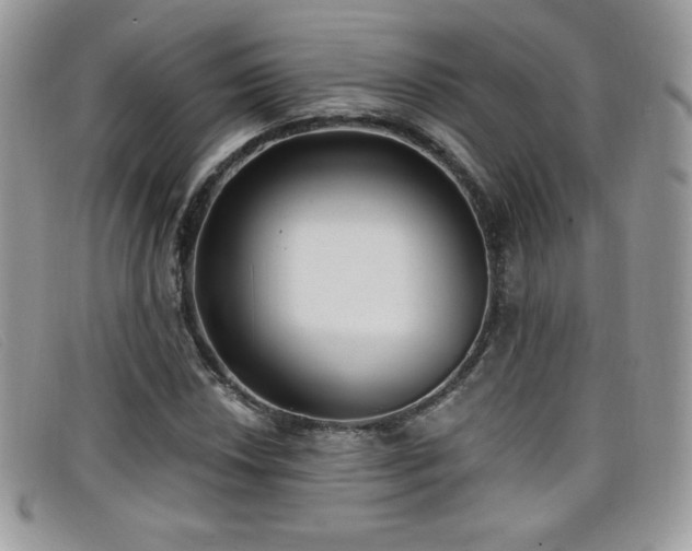 X0000099301018200805021226