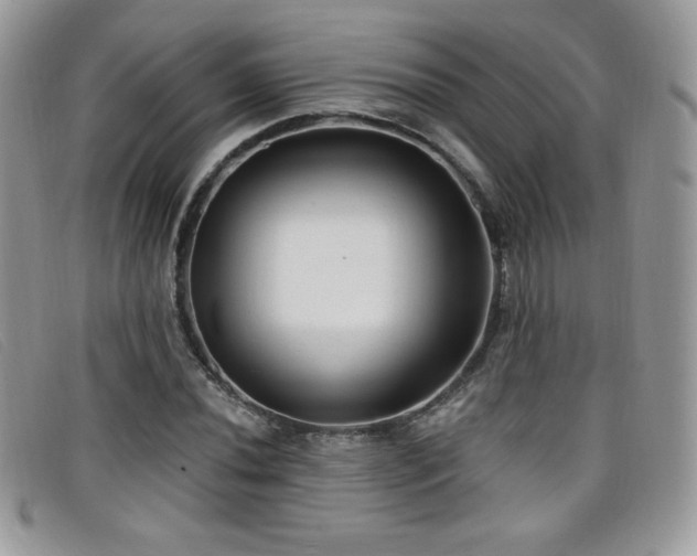 X0000099301020200805021226