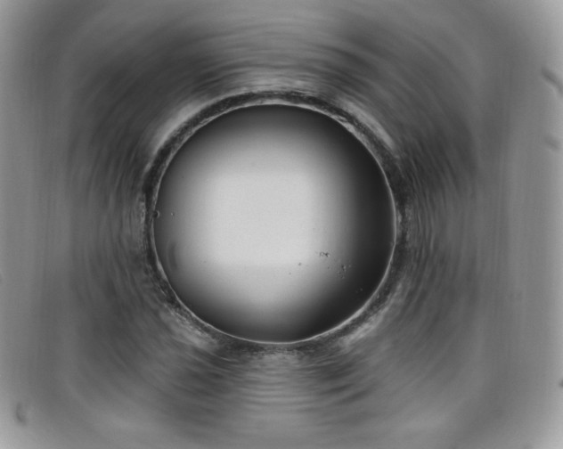 X0000099301021200805021226