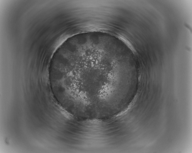 X0000099301023200805021226