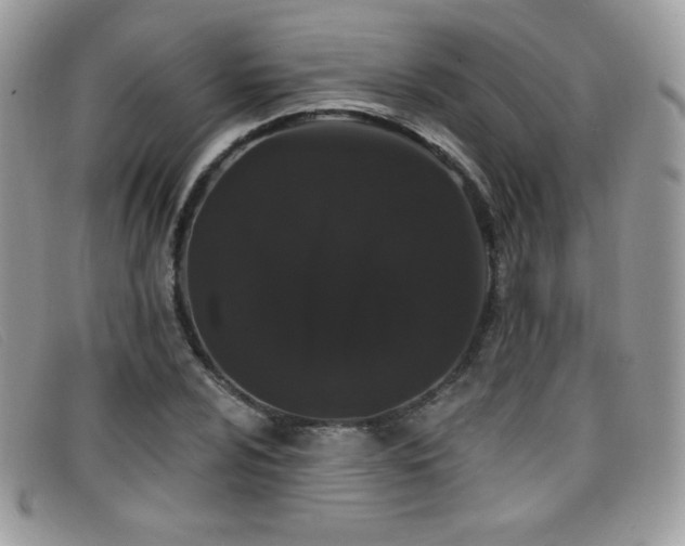 X0000099301024200805021227