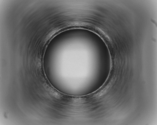 X0000099301025200805021227