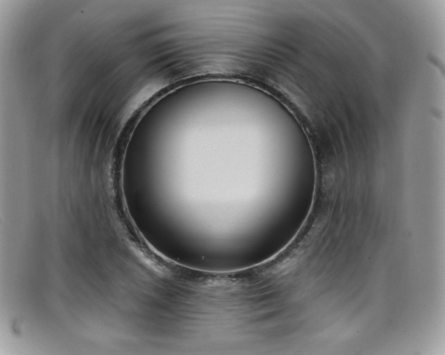 X0000099301026200805021227