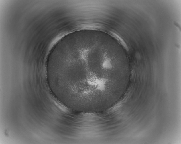 X0000099301027200805021227