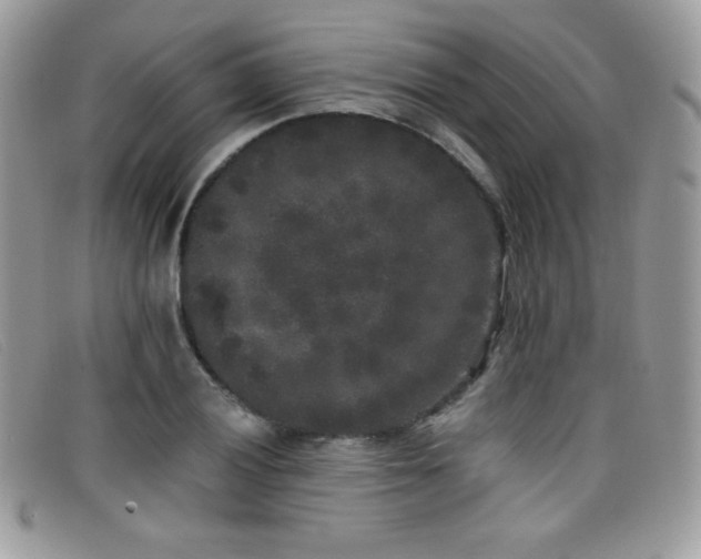 X0000099301028200805021227