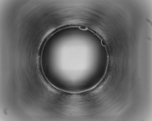 X0000099301029200805021227