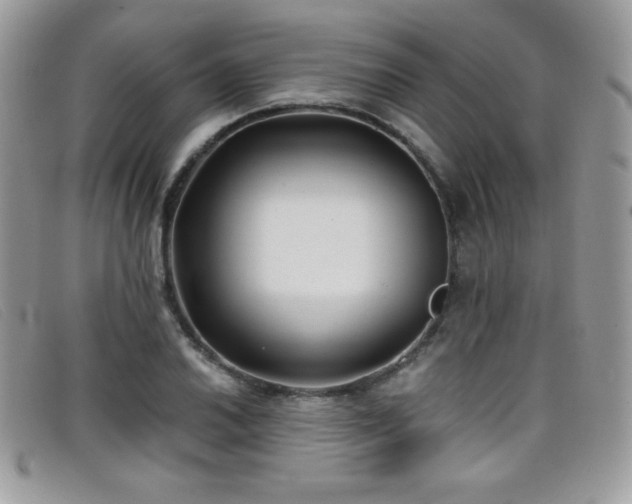 X0000099301030200805021227