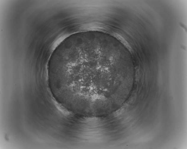 X0000099301031200805021227