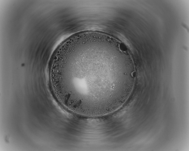 X0000099301032200805021227