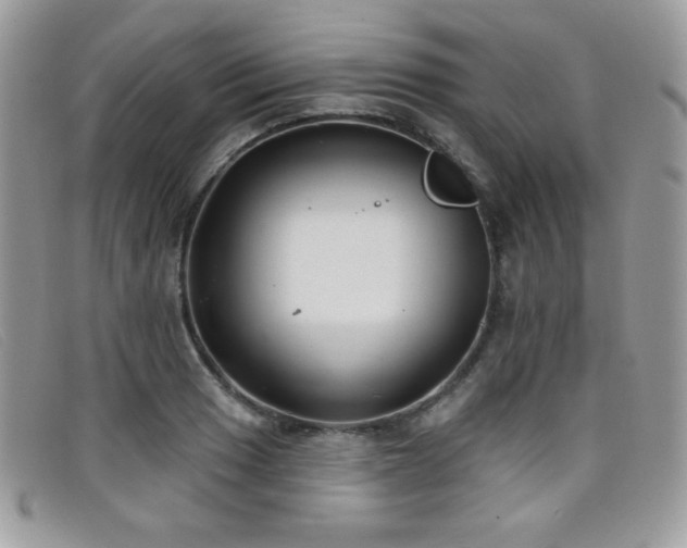 X0000099301033200805021227