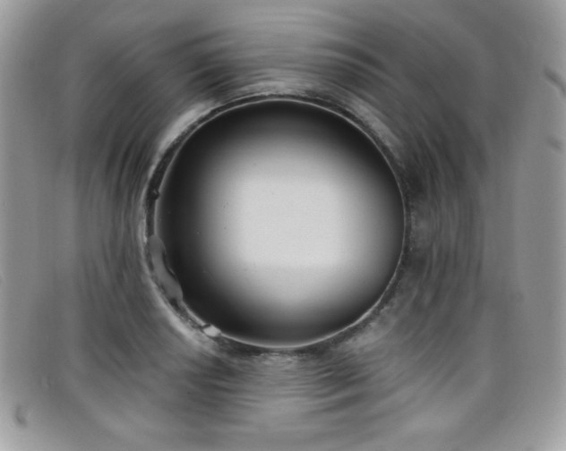 X0000099301034200805021227