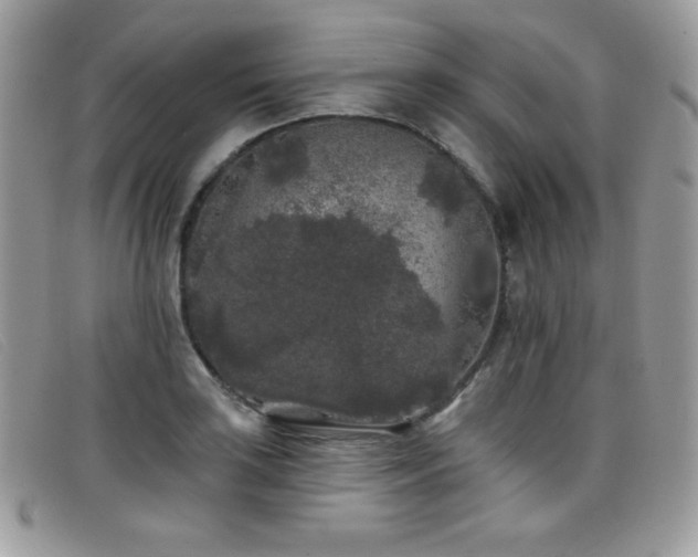 X0000099301035200805021227