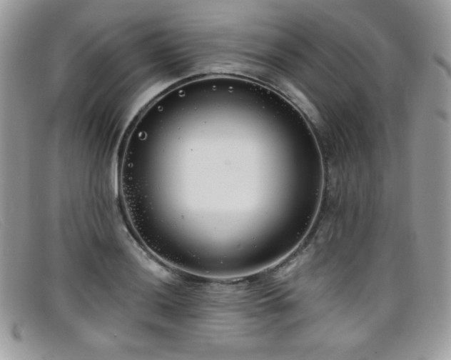 X0000099301036200805021227