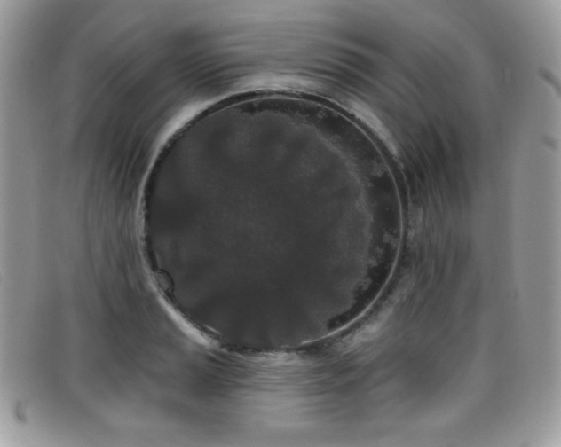 X0000099301037200805021227