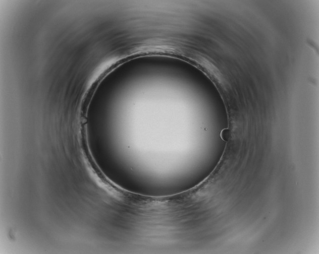 X0000099301038200805021227