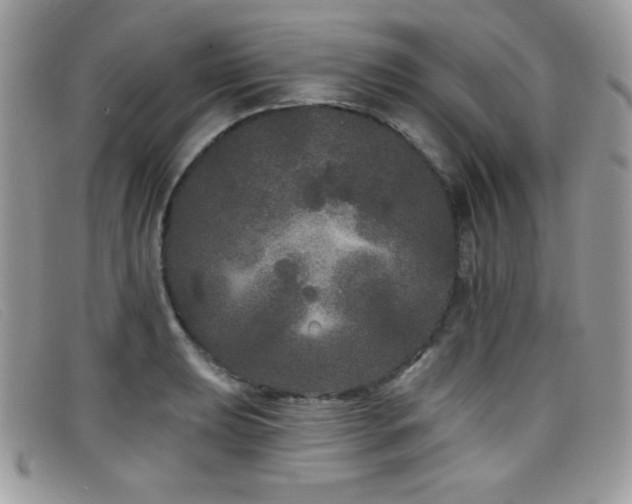 X0000099301039200805021227