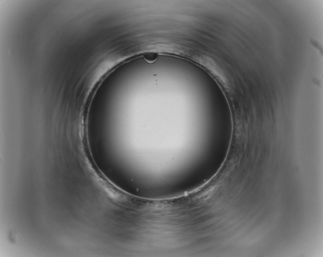 X0000099301040200805021227