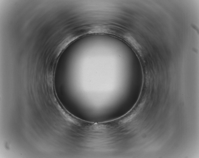 X0000099301041200805021227