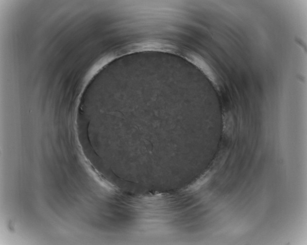 X0000099301043200805021227