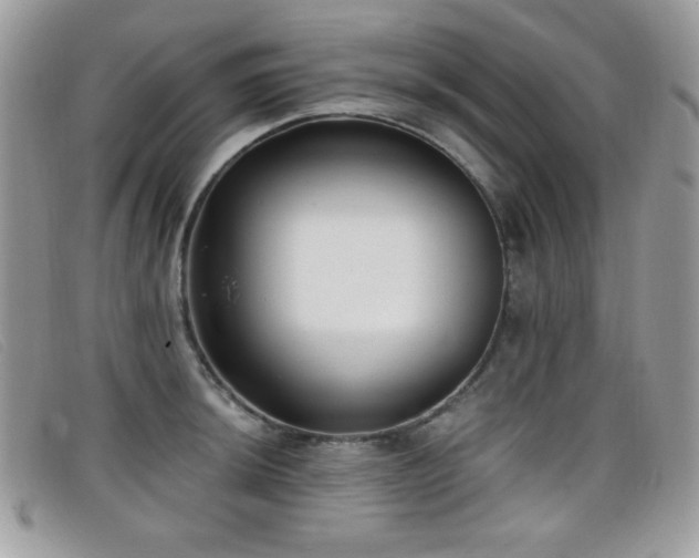 X0000099301044200805021227