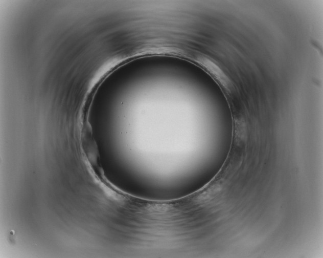 X0000099301046200805021227